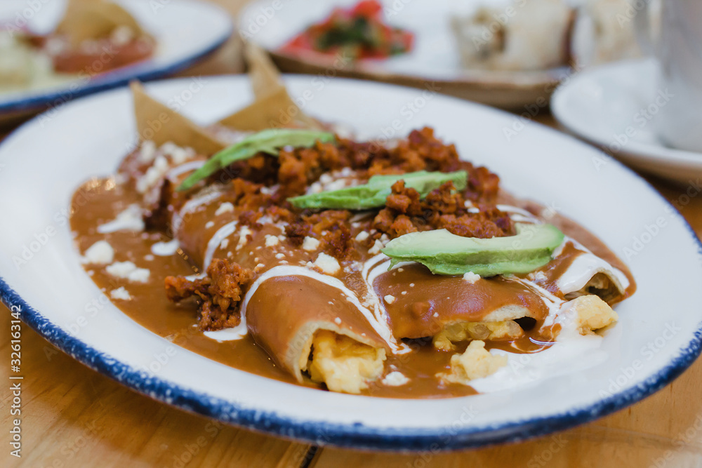 enfrijoladas mexican enchiladas with beans, traditional food of Mexico gastronomy enfrijoladas mexican enchiladas with beans, traditional food of Mexico gastronomy