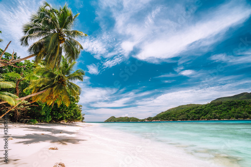 Fototapeta Naklejka Na Ścianę i Meble -  Vacation holiday background exotic wallpaper. Paradise beach with white sand and palm trees. Blue ocean lagoon and sky with white clouds