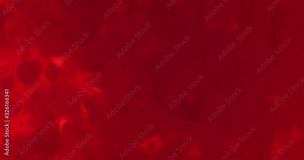 Small red blood cells in fluid Small red blood cells in fluid