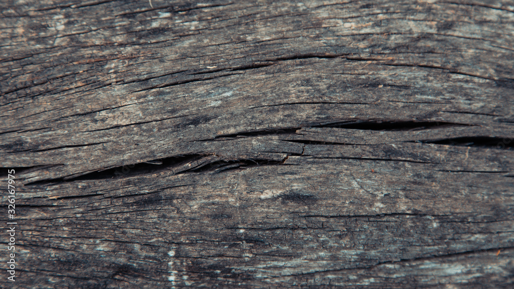 Wood texture. background old panel. Abstract background, empty template Wood texture. background old panel. Abstract background, empty template