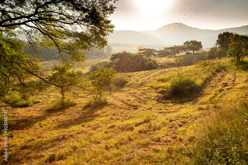 Sunrise over grass hills and mountain background in Mlilwane park, Swaziland
