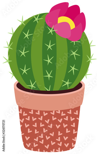 Green round cactus with pink flower in potted