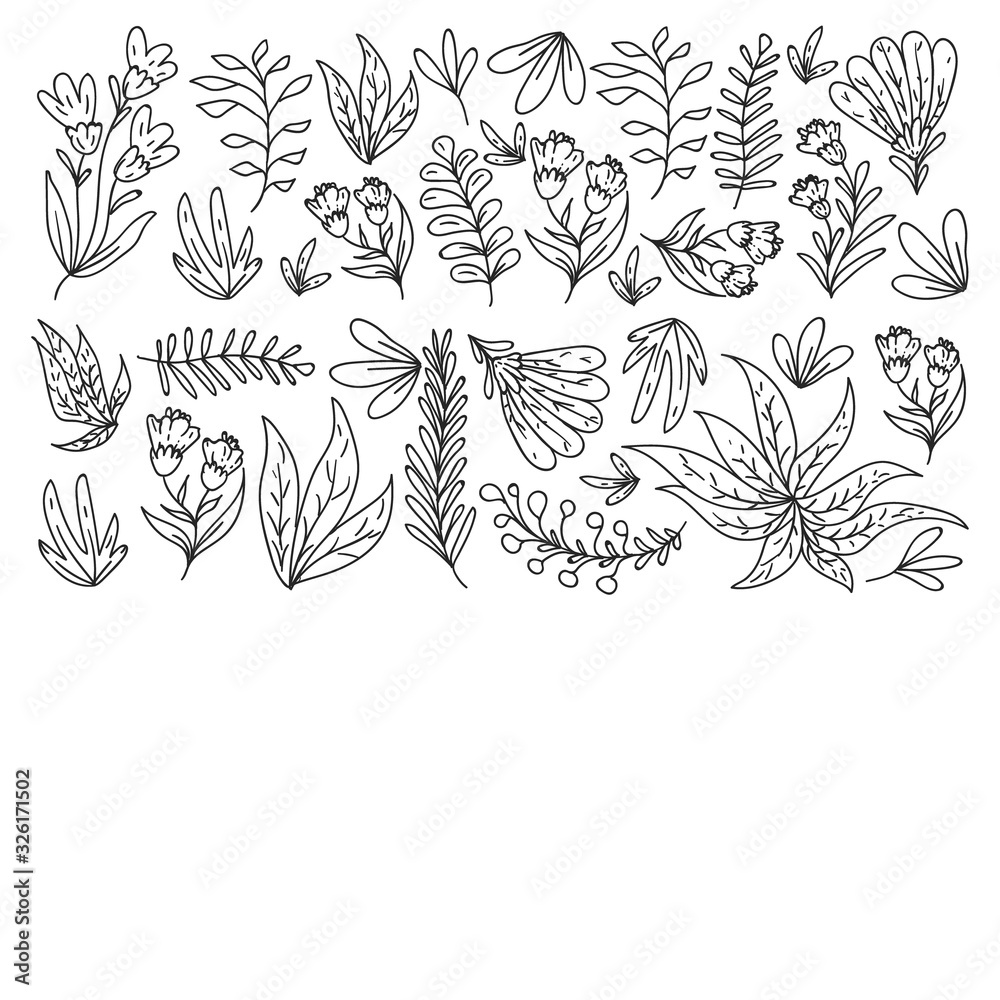Fototapeta premium Hand vector drawn floral, leaves elements. Pattern for logo, greeting card, wedding design.