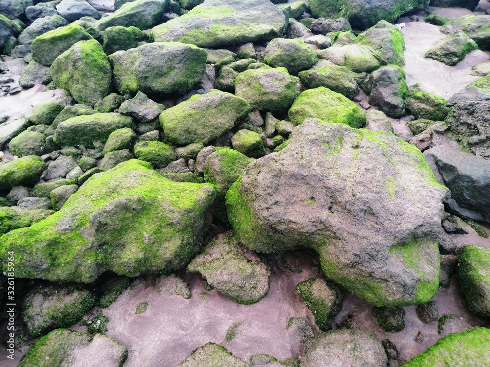 A beautiful landscape of rocks on a beautiful beach