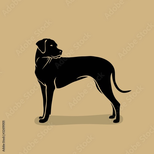 Rhodesian Ridgeback dog - isolated vector illustration photo