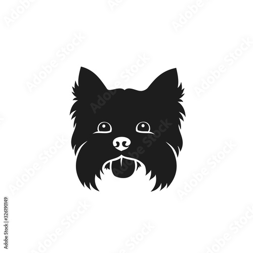 Yorkshire terrier - isolated vector illustration