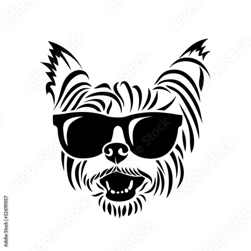 Yorkshire terrier wearing sunglasses - Yorkie - isolated vector illustration photo