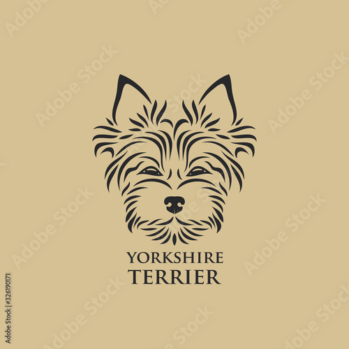 Yorkshire terrier - isolated vector illustration photo