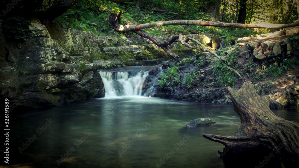 Naklejka premium Waterfall in the Woods