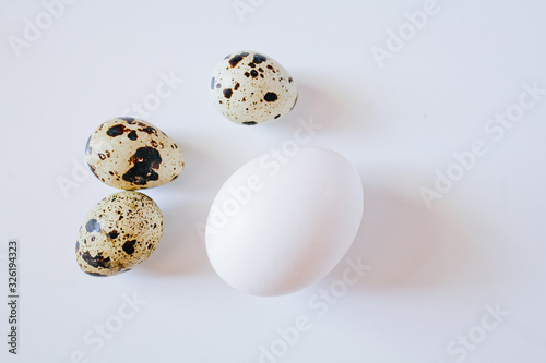 Fototapeta white chicken egg and small quail eggs top view white background