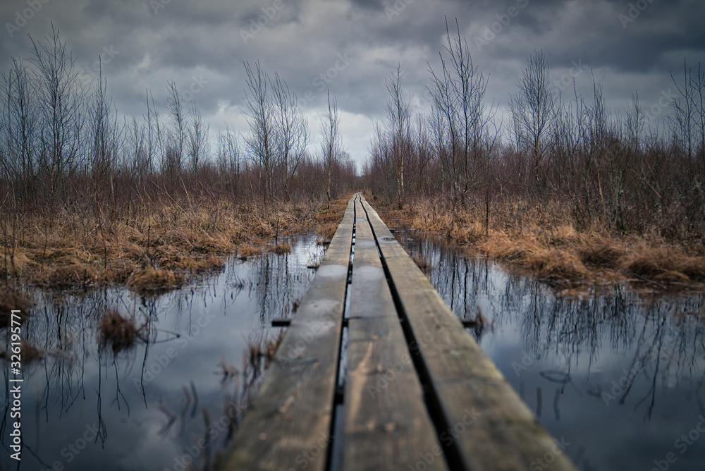 Fototapeta premium Rickety wooden boardwalk over swamp during rain