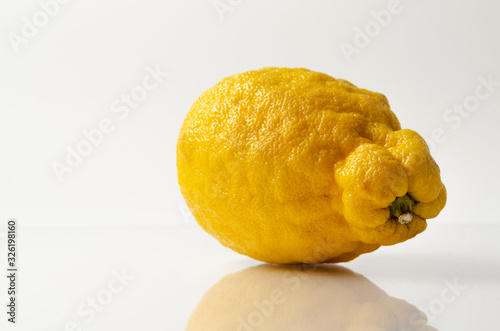 ugly organic fruits - one yellow lemon on the table photo