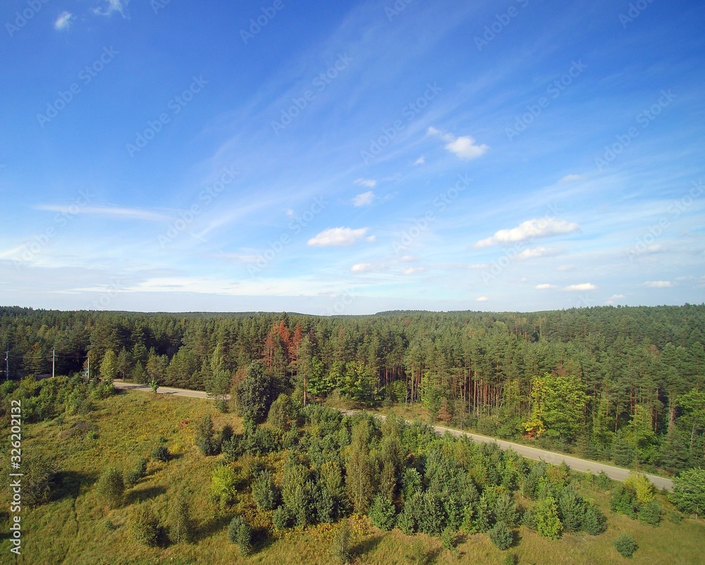 Landscape of Polish forest captured from the sky