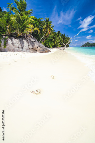 Fototapeta Naklejka Na Ścianę i Meble -  Vacation holiday background of paradise beach. White sand, palm trees and blue ocean lagoon