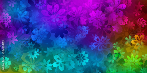 Spring background of various flowers in rainbow colors