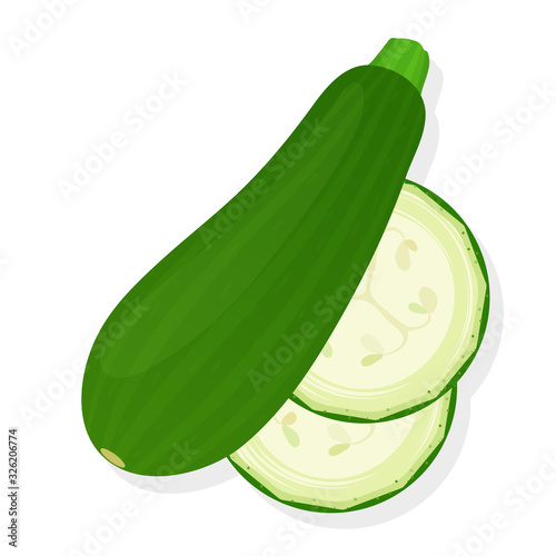 Whole zucchini and zucchini slices isolated on white background. Ripe zucchini. Vector illustration.