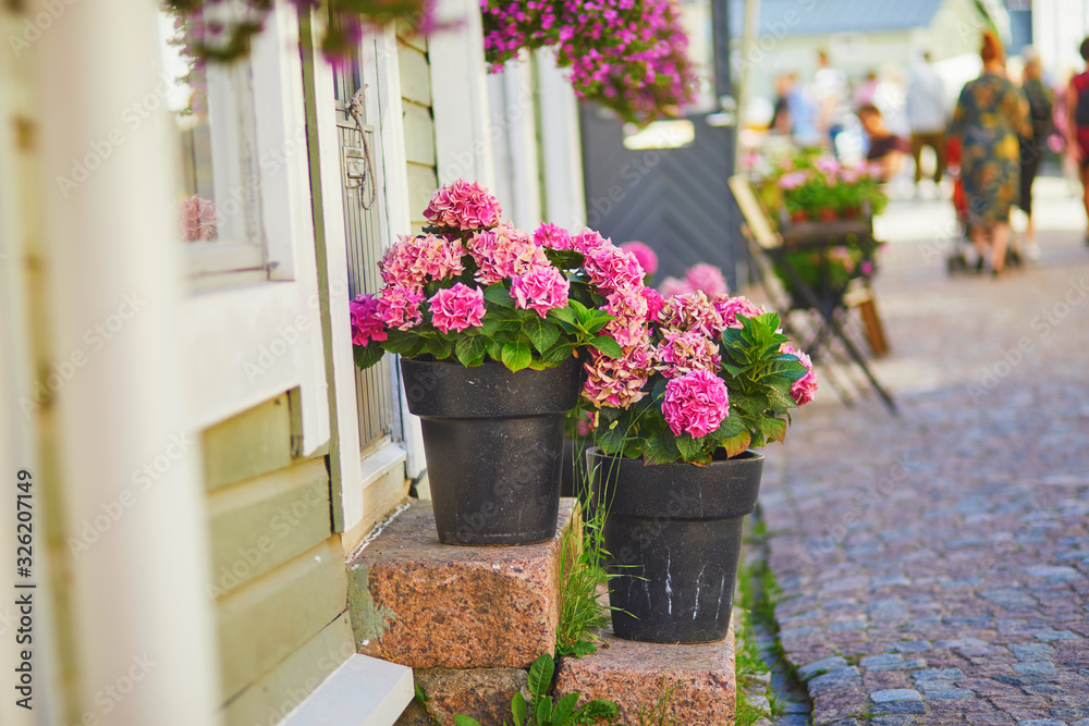 Pink hortensias on stone porch of outdoor cafe in Finnish town