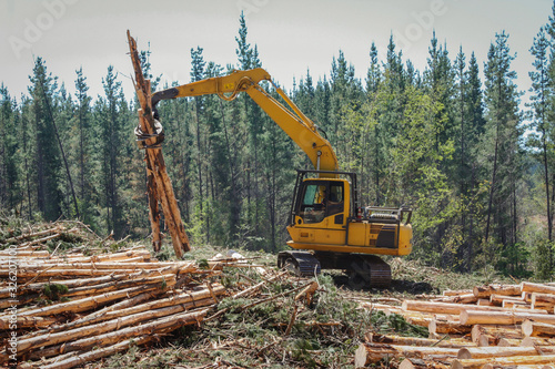 Logging Equipment