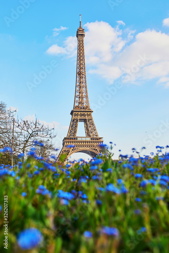 Eiffel tower seen through blue flowers in Paris, France © Ekaterina Pokrovsky