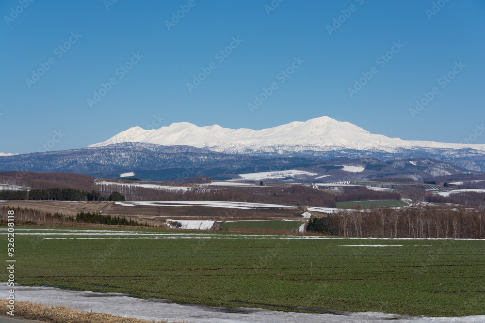 Fototapeta premium 春の畑作地帯と残雪の山並み 大雪山旭岳