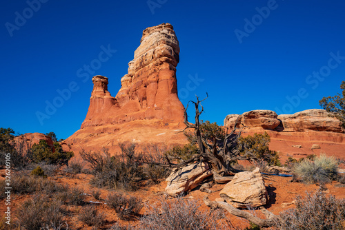 Sandstone Hoodoos Along the Broken Arch Trail