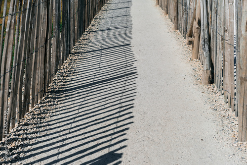 Path on the beach