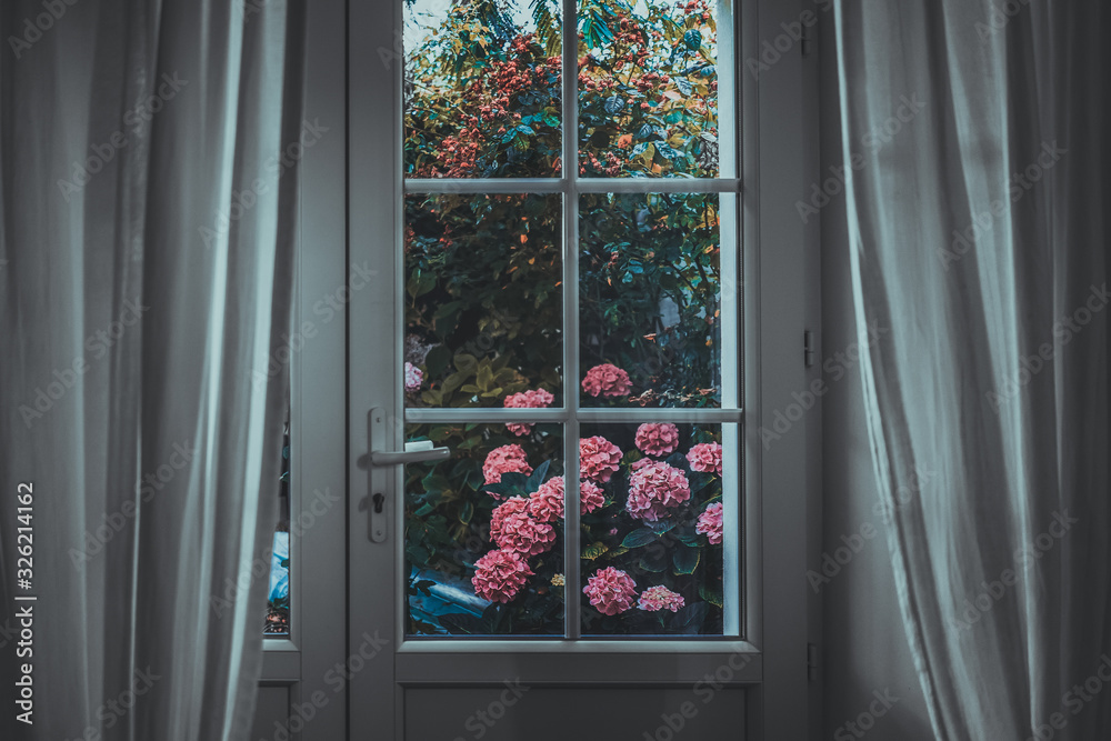 Obraz premium view of window with flowers