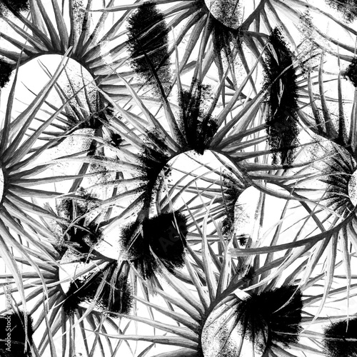 Tropical Leaf. Black White Modern Motif. © Сашка Шаргаева