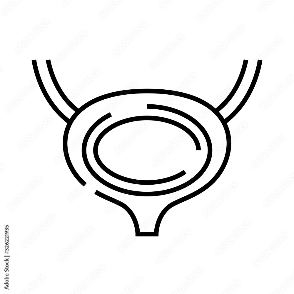 Excretory bladder line icon, concept sign, outline vector illustration, linear symbol.