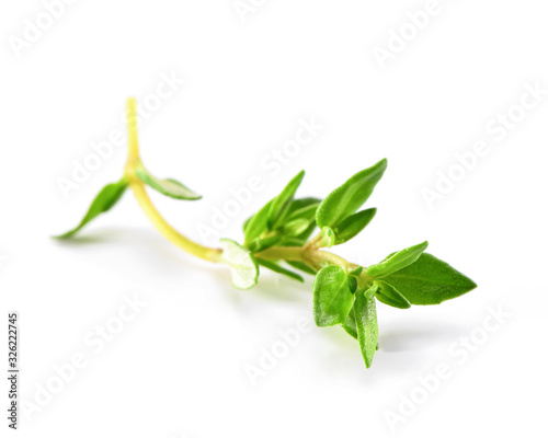 sprig of fresh thyme close-up on white  background