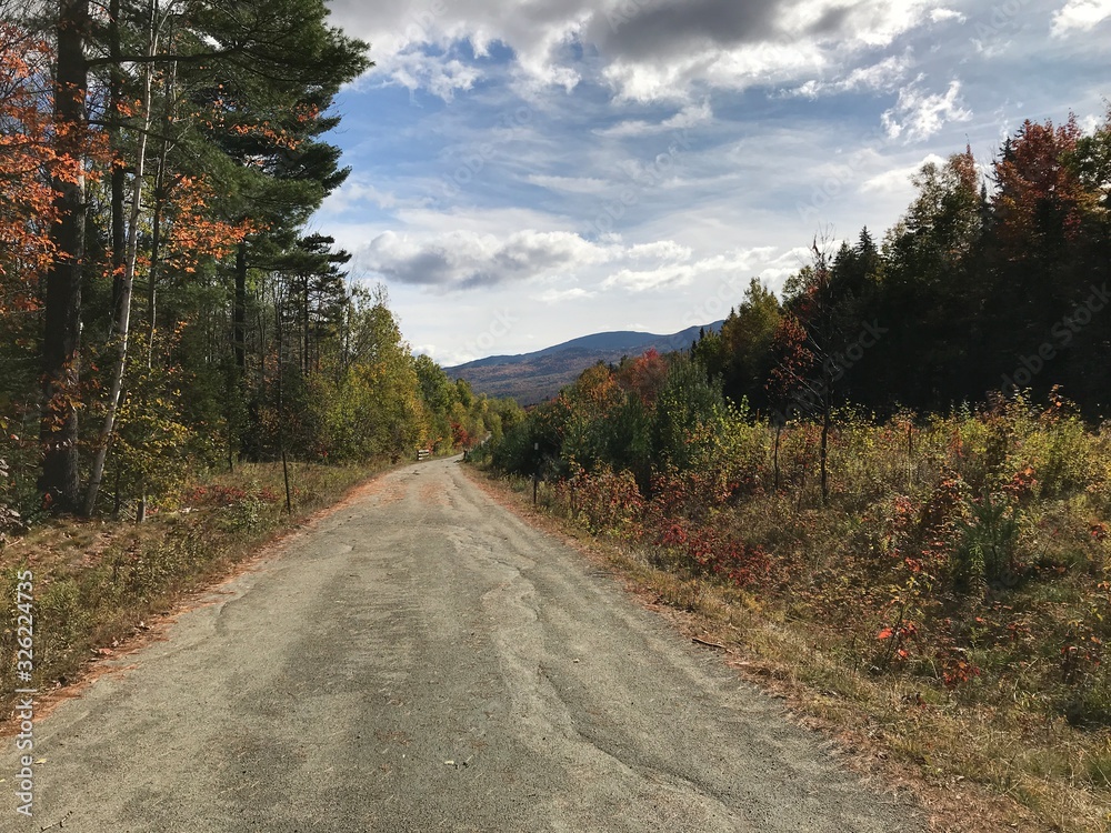 Fototapeta premium road in the mountains