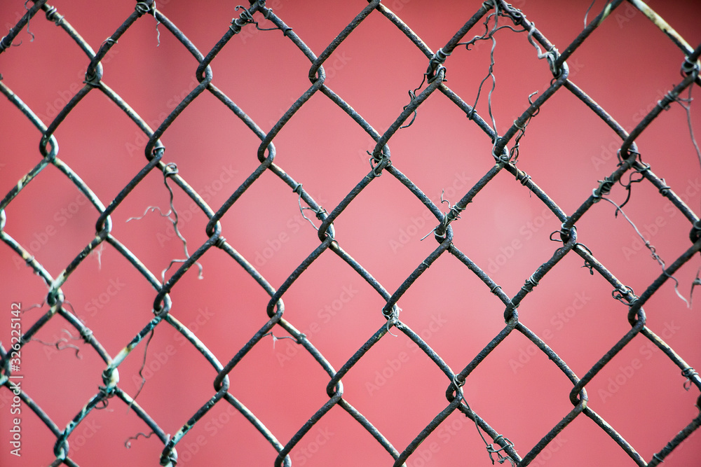 Fototapeta premium Metal mesh close-up on a red background