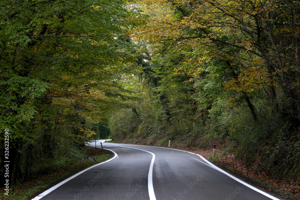 Naklejka premium Road In Siena