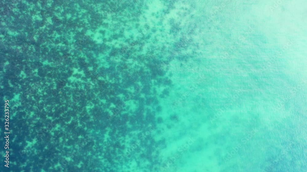 People swim on calm clear water of turquoise water, exploring underwater coral reefs and beautiful rocky seabed in Dominican Republic People swim on calm clear water of turquoise water, exploring underwater coral reefs and beautiful rocky seabed in Dominican Republic