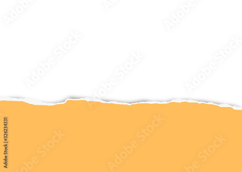 Torn paper on transparent background with space for text. Vector illustration.	