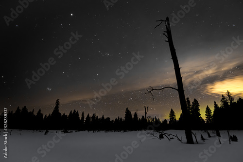 Photo A winter scene with thin moonlit clouds in the night sky full of stars and the Northern Lights on the horizon