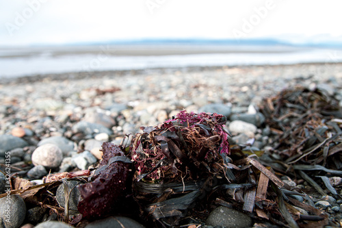 On the Rocky Beach