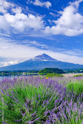 富士山とラベンダー、山梨県富士河口湖町大石公園にて © photop5