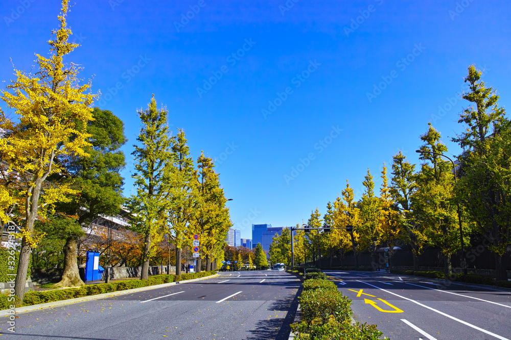 Fototapeta premium 秋の東京都千代田区の国会図書館前交差点から丸の内方面の景観