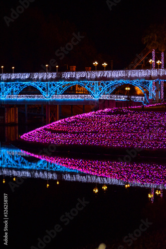 イルミネーション