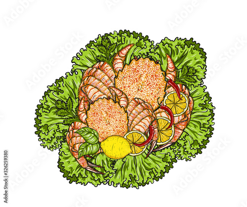 Horsehair Crab with lemon and vegetable on white background.Horsehair Crab vector art highly detailed in line art style.