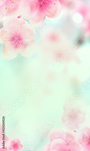 vertical Japanese Spring Sakura cherry blossoms 240x400 size website fat skyscraper banner background. 3D Illustration Clip-Art floral spring petal design header. copy space in pink, white, green