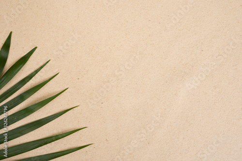 Summer background with green palm leaves. Copy space