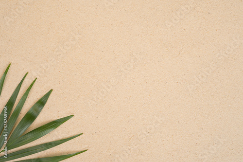 Summer background with green palm leaves. Copy space