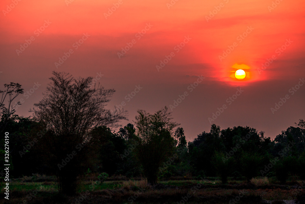 The background of the orange morning light is blurred by the wind or the mist blowing through, the beauty of nature The background of the orange morning light is blurred by the wind or the mist blowing through, the beauty of nature