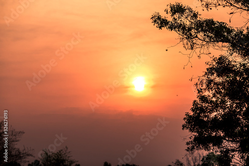 The background of the orange morning light is blurred by the wind or the mist blowing through  the beauty of nature