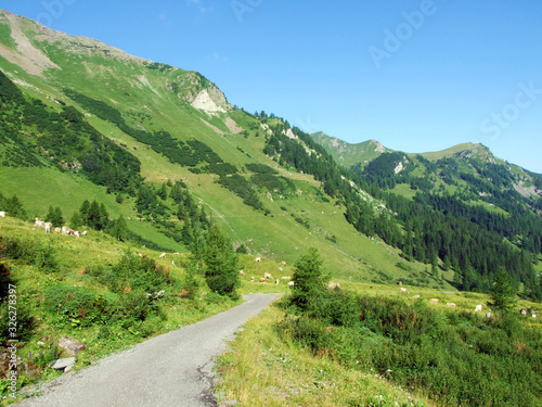 Walking and hiking trails in the Liechtenstein Alps mountain range, and along the Naaftal and Saminatal Alpine valleys - Steg, Liechtenstein photo