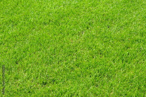 Artificial grass background, top view of artificial grass background, texture