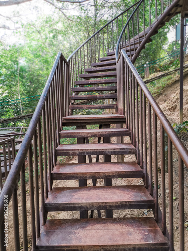 Fototapeta Naklejka Na Ścianę i Meble -  stairway to the metal ladder in the forest