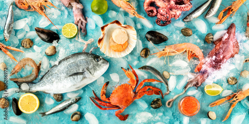 Fish and seafood flat lay overhead panorama. Sea bream. shrimps, crab, sardines, squid, mussels, octopus and scallops on a blue background photo